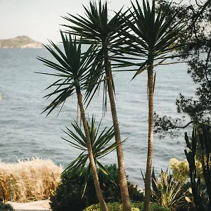 Provencal *** Hyeres